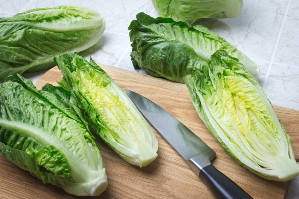 Romaine Lettuce Nutrition