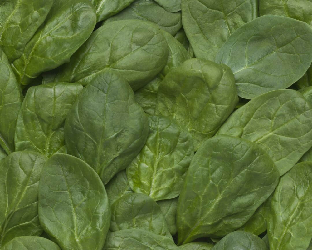 Fresh green spinach leaves, perfect for salads, smoothies, and healthy meals.